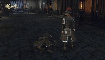 逆水寒1415最新爆料,江湖风云再起，神秘势力暗中布局